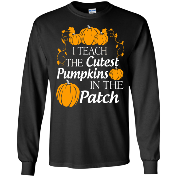 I teach the cutest pumpkins in the patch t-shirt