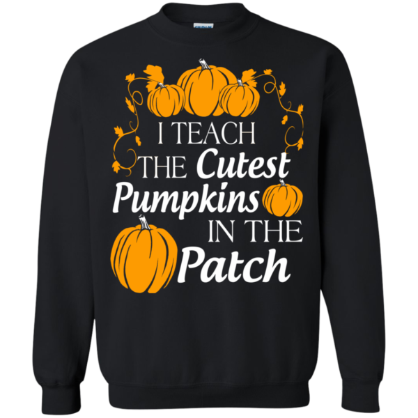 I teach the cutest pumpkins in the patch t-shirt
