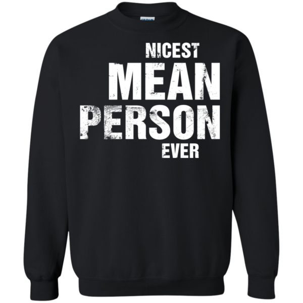 Nicest Mean Person Ever Shirt, Hoodie