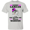 Sorry Cancer You Picked The Wrong Warrior Shirt, Hoodie