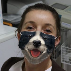 Border Collie Dog Mask