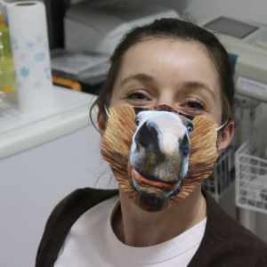Funny Horse Face Cloth Face Mask