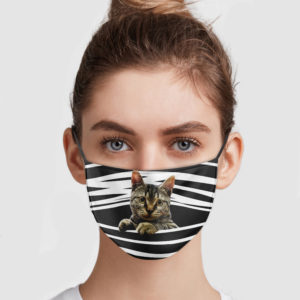 Tabby Cat Stripes Face Mask