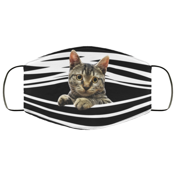 Tabby Cat Stripes Face Mask