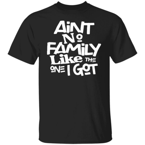 Aint No Family Like The One I Got Shirt