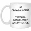 No Crowdsurfing You Will Immediately Be Ejaculated Mugs