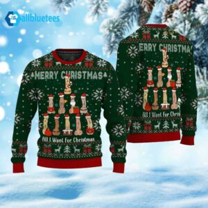 All I Want For Christmas Dirty Merry Dickmas Sweater