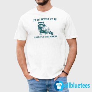 It Is What It Is And It Is Not Great Raccoon Shirt
